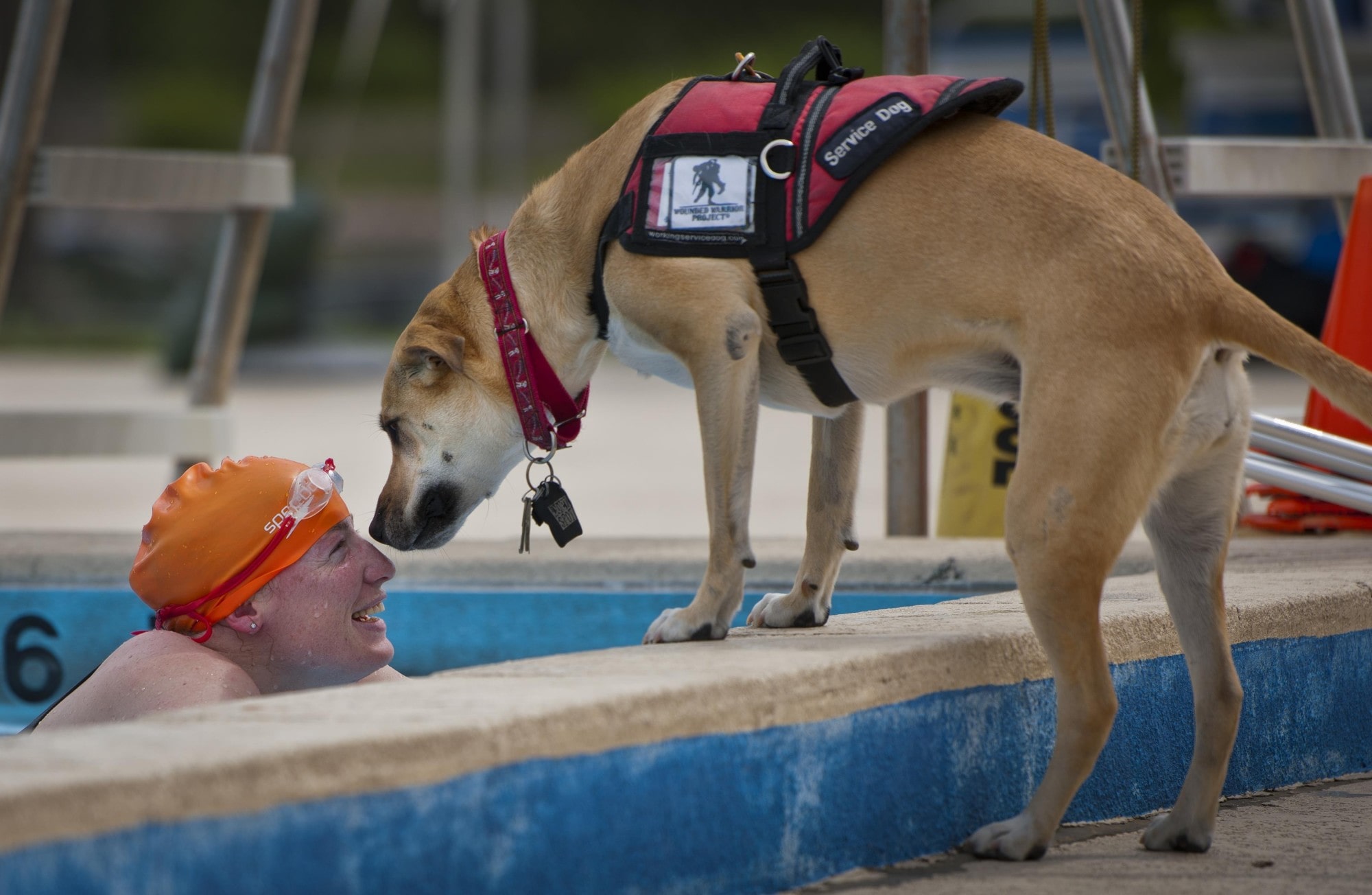 What Every Landlord Should Know about Service Animal Laws