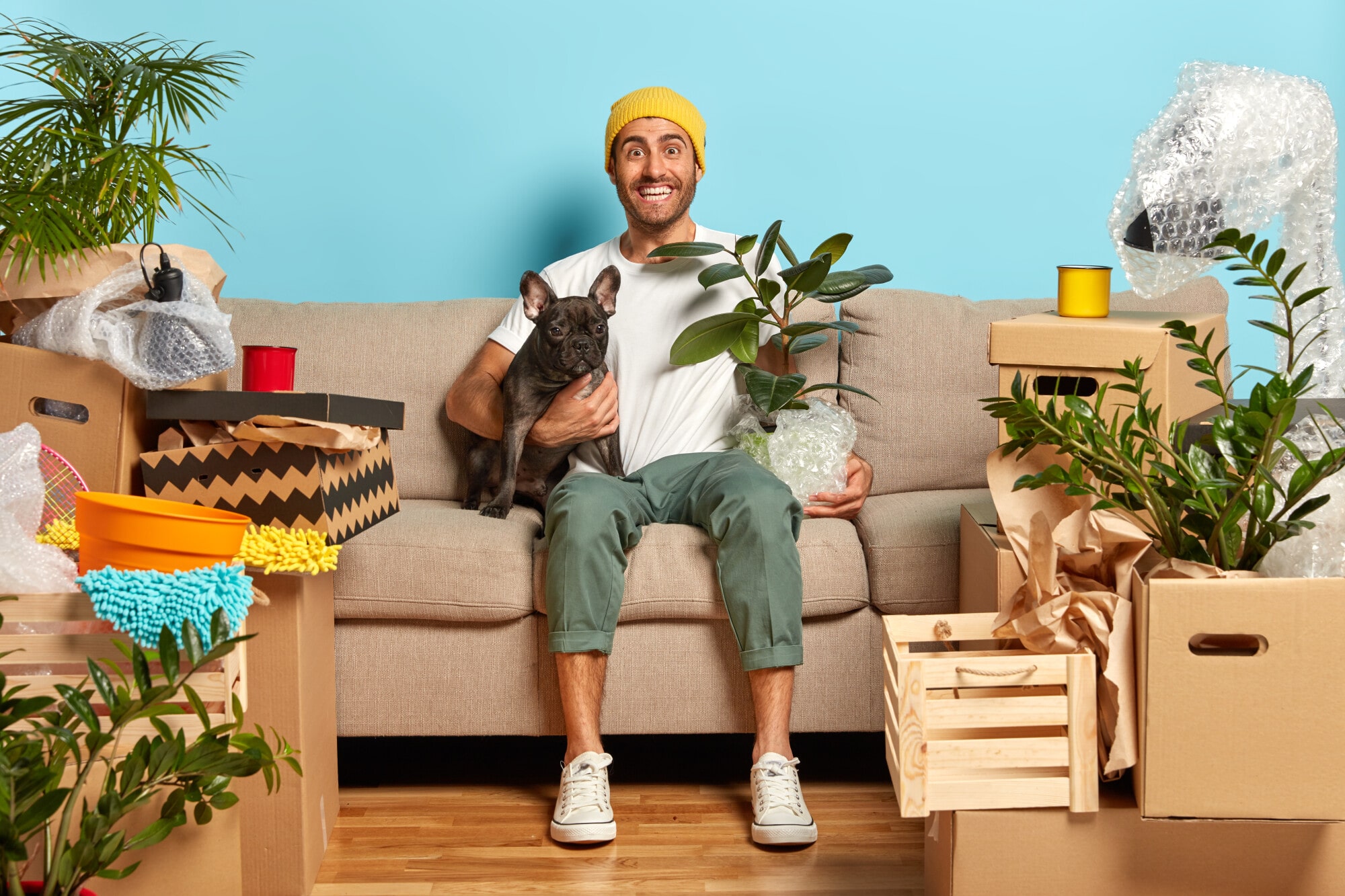 Should You Allow Pets in a Rental Property? The Pros and Cons